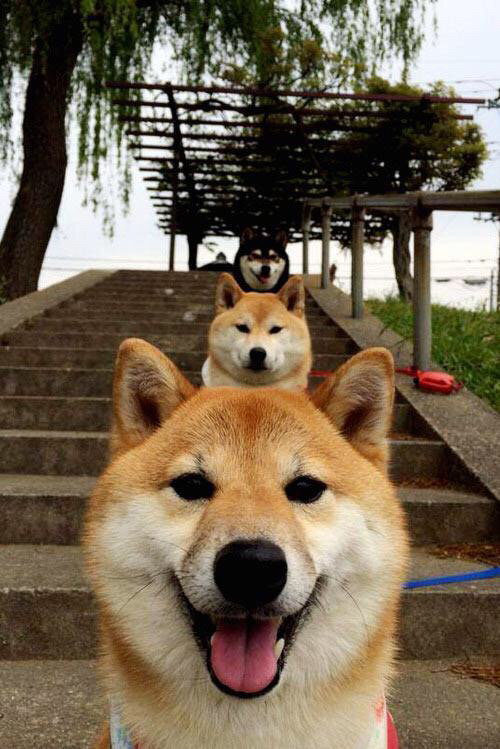 战术灵活度是否成为新一代主帅的标配技能,灵活的战术战略