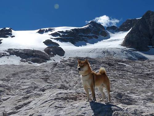 欧国联比赛:拉脱维亚队战胜格鲁吉亚队,拉脱维亚对德国