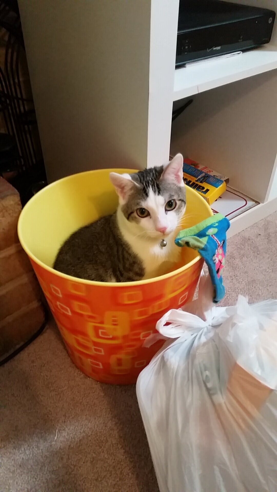 爱游戏中国官方登录入口网站-热刺主场大胜富勒姆，状态回暖，热刺vs富勒姆聚胜顽球汇