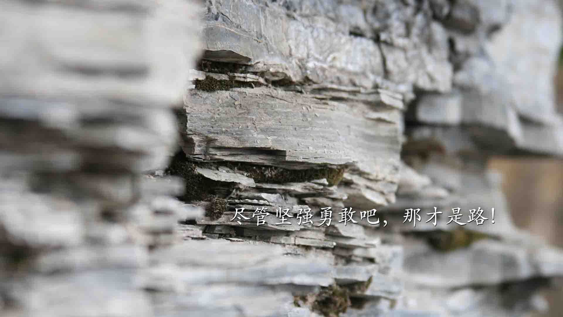 爱游戏官方-火箭板凳深度展现优势，火箭的架子长什么样子