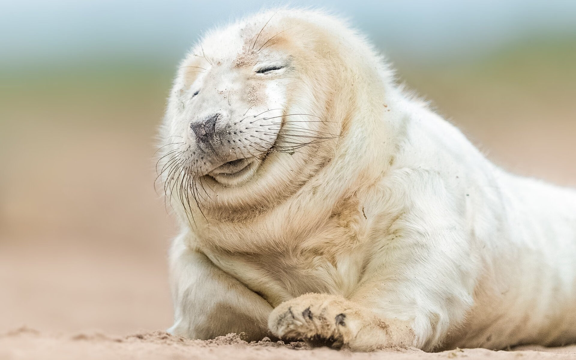 罗马客场遭遇大败，战绩蒙上阴影，罗马球队比赛