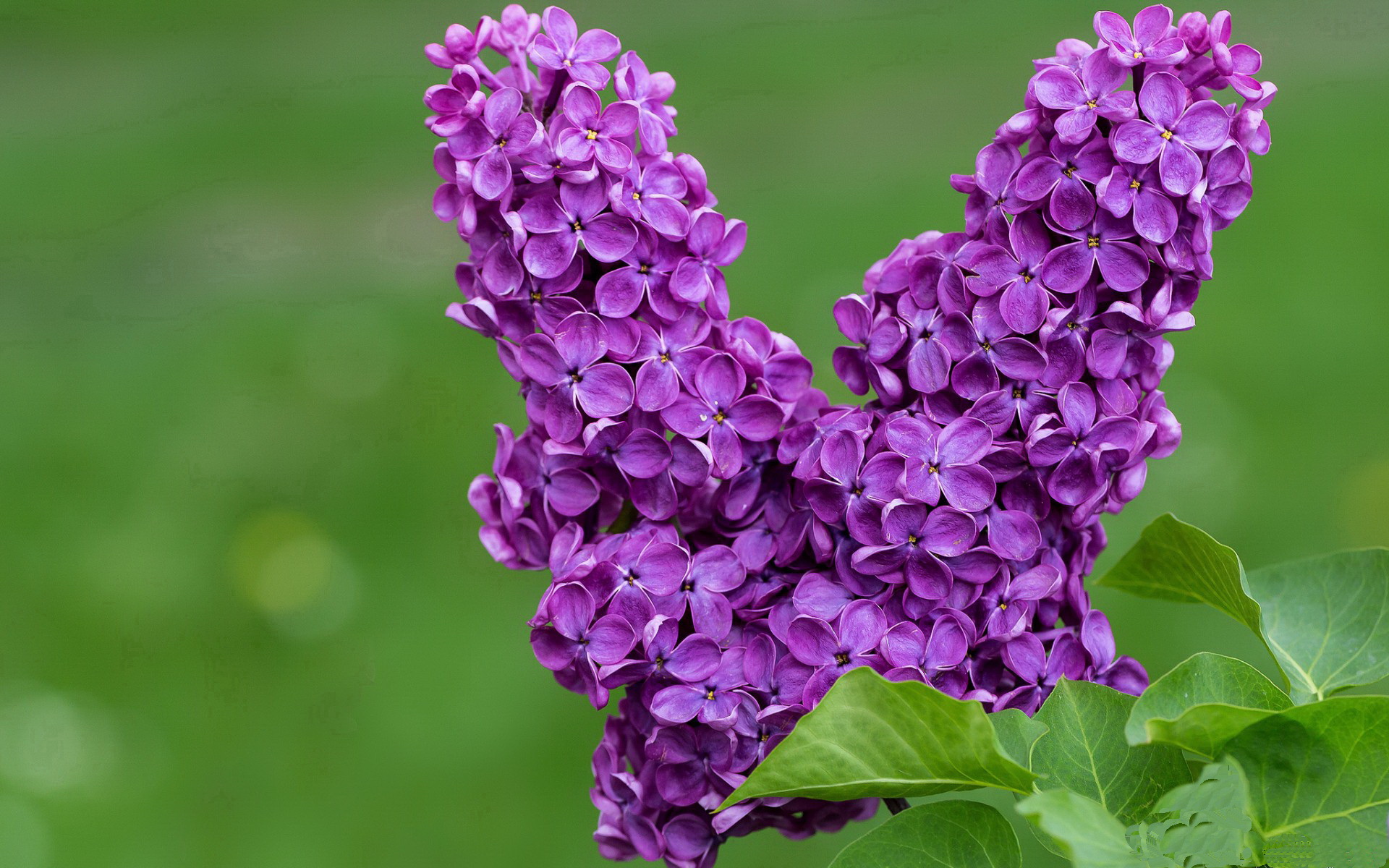 联盟是否应设立球员母校回访计划