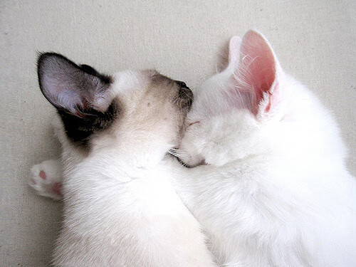 西班牙小将突破数据领跑全队,西班牙小将突破数据领跑全队的是谁