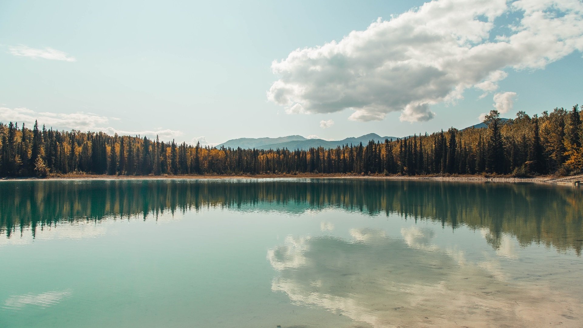 贝尔格莱德红星战绩稳步提升,贝尔格莱德红星德比