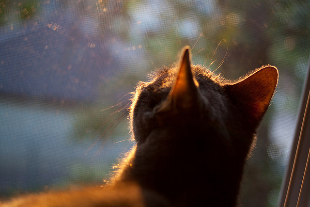 足球比赛中哪位球员表现最出色,值得称赞?,足球比赛有谁