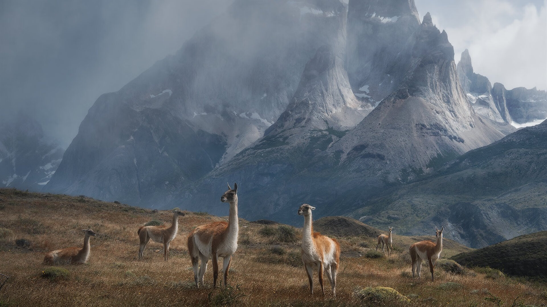 那不勒斯夺得意大利杯,球队重回巅峰,意甲球队那不勒斯