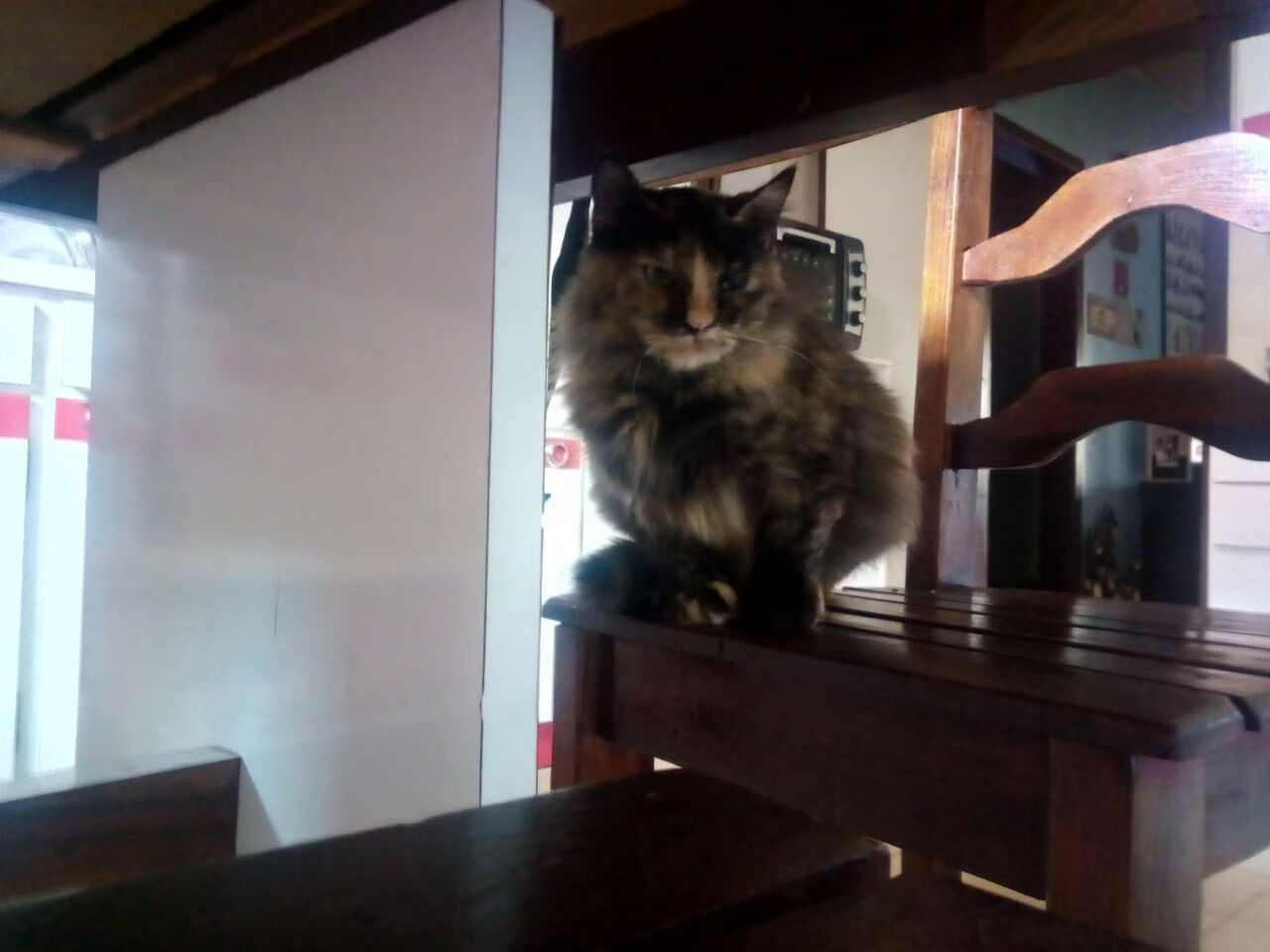 爱游戏app-阿雅克肖不敌摩纳哥，遭遇两连败状态不佳，阿雅克肖vs图卢兹预测