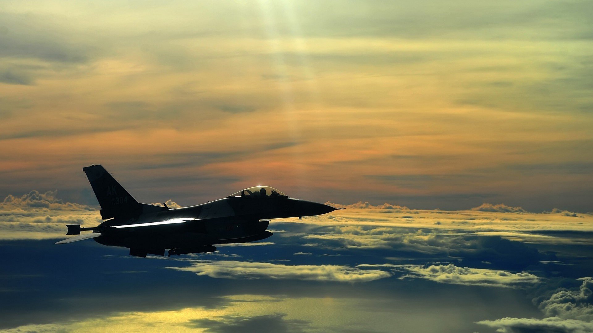 美国传统马术赛事“Mustang Challenge”在拉斯维加斯成功举办,吸引众多观众参与。