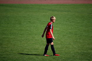 爱游戏app下载-NBA球员高原训练对平原比赛状态的影响，平原运动员进行高原训练原因