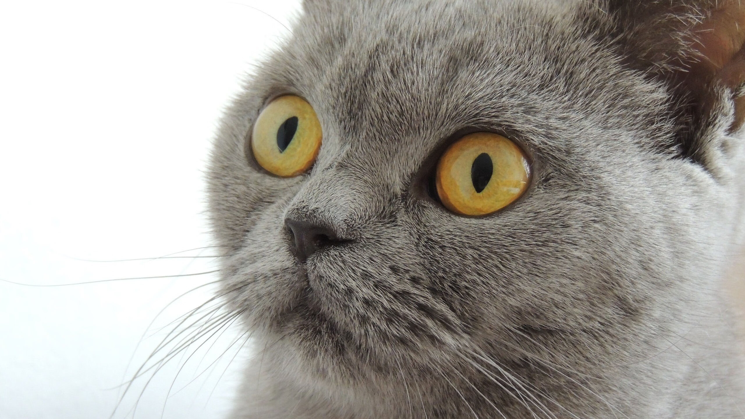 世界青少年行走挑战赛在长沙火爆开启,青春无极限