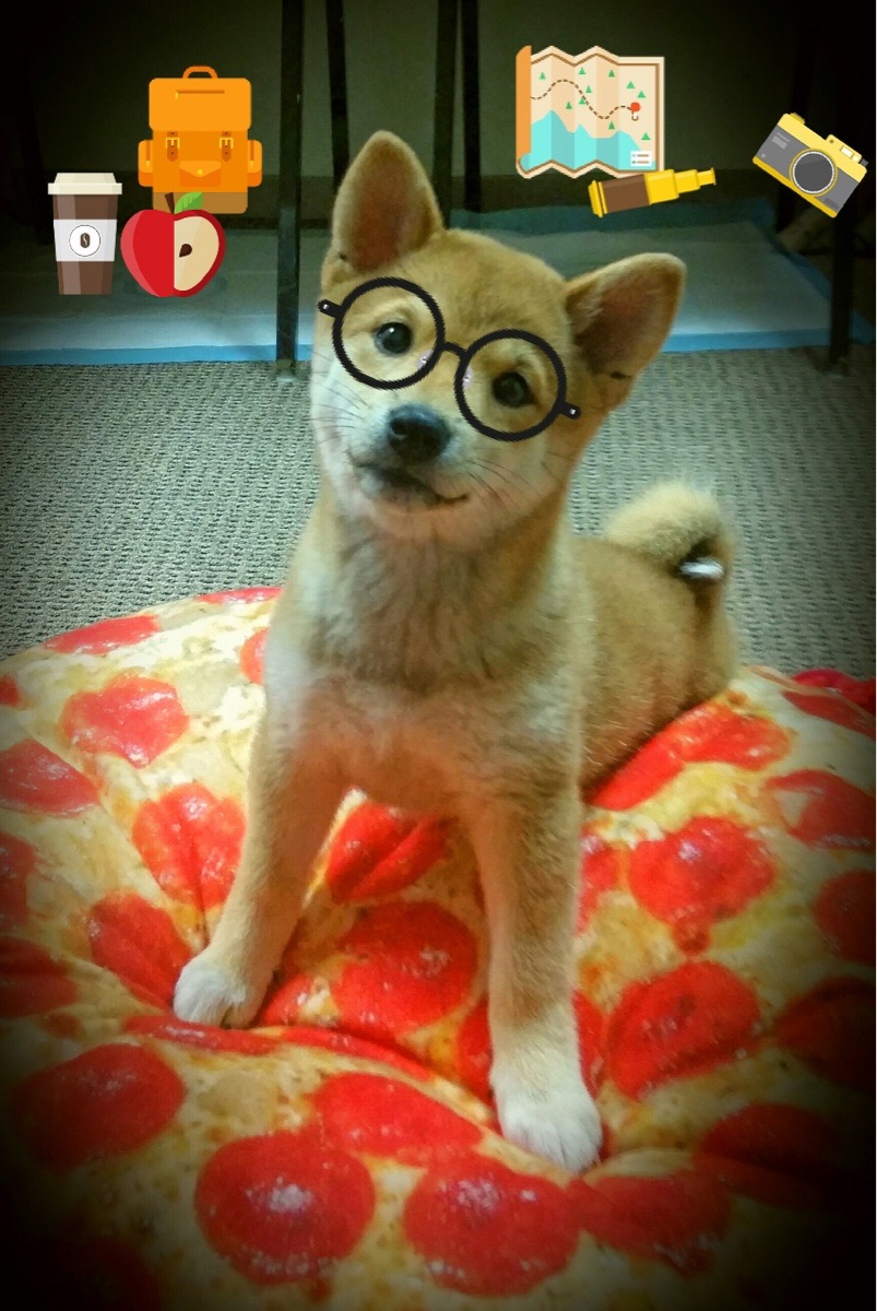 世界青少年滑雪技巧锦标赛中国队表现优异,青春寒冬中的火焰,2019-2020中国青少年滑雪大奖赛