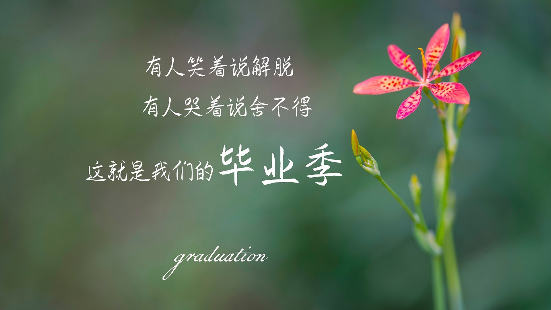 中国篮球青少年运动员选拔机制研究,中国篮球青少年运动员选拔机制研究论文