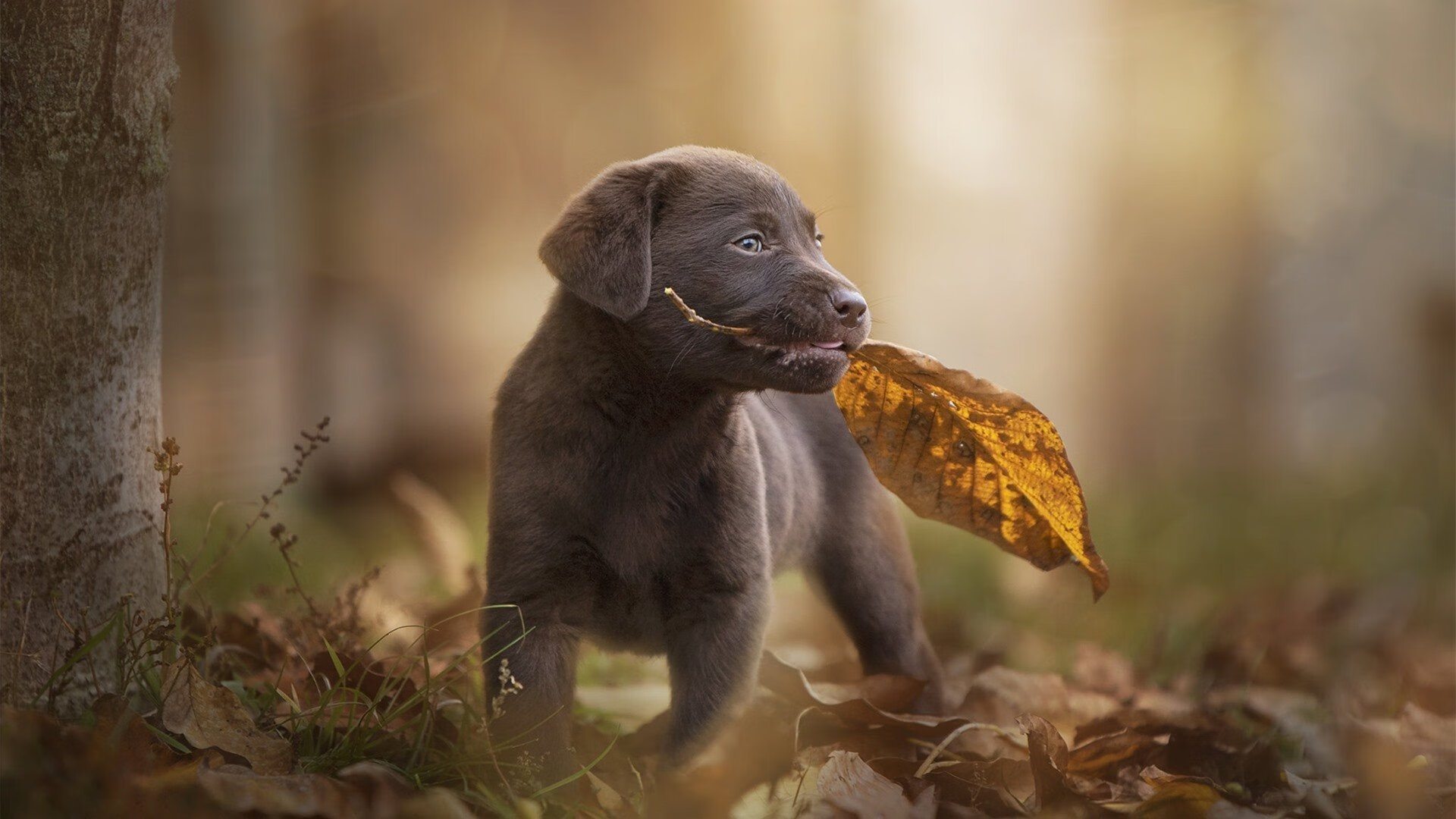 爱游戏中国官方网站平台-体育赛事票务系统智能升级，体育赛票官方下载