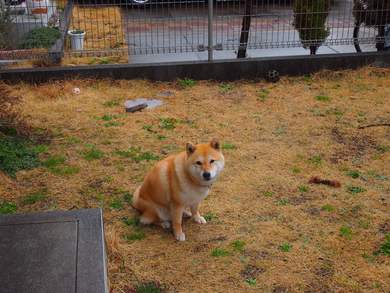 意甲球队利用人工智能辅助战术布置的案例分析,足球人工智能预测