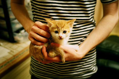 “天府新区沙滩赛场:沙滩合球挑战传统竞技”