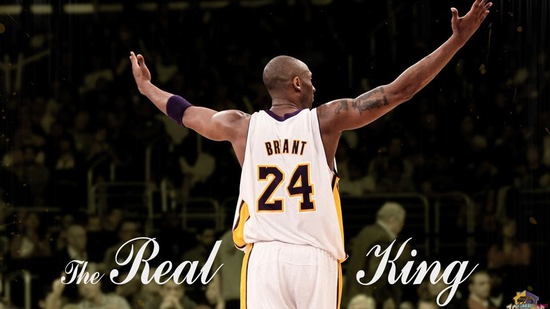 体育新闻中心启动体育数字内容创新孵化项目,中国体育数字创新大赛