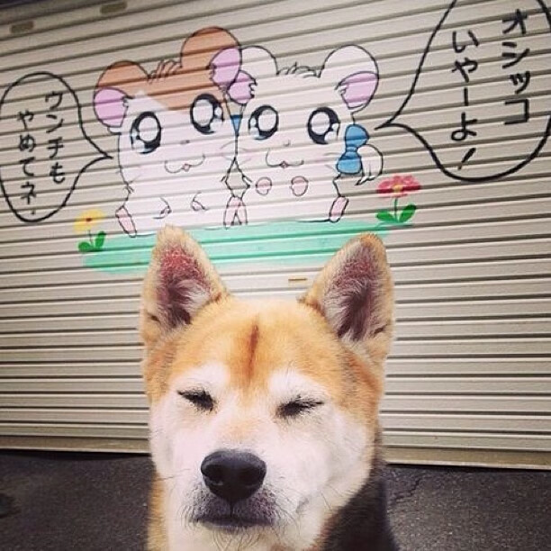 体育新闻中心承办体育文化数字传承创新论坛,数字体育发展