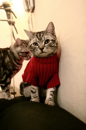 博卡中卫遭遇轮番冲击,疲于应付,博卡出来的球星