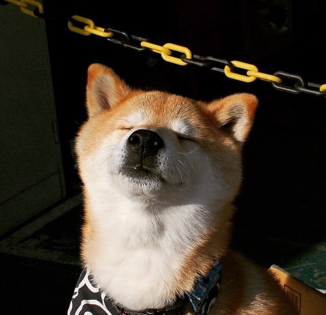 得分能力不稳定是否是季后赛隐患,得分能力强