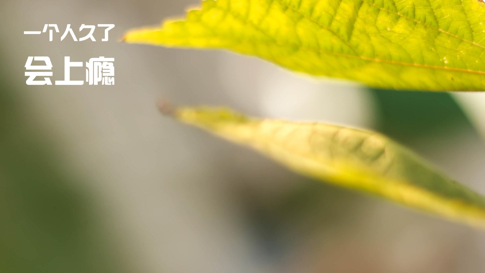 乌拉圭男篮在南美锦标赛中持续高光,一路领先,乌拉圭男篮nba球员