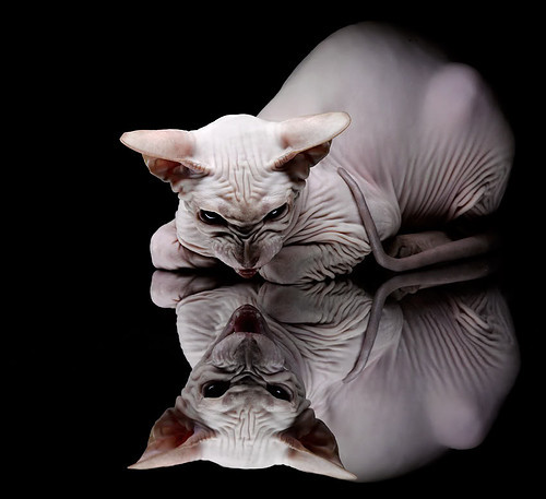 AYX SPORTS-勇士球员尝试瑜伽训练改善核心力量，勇士训练短袖