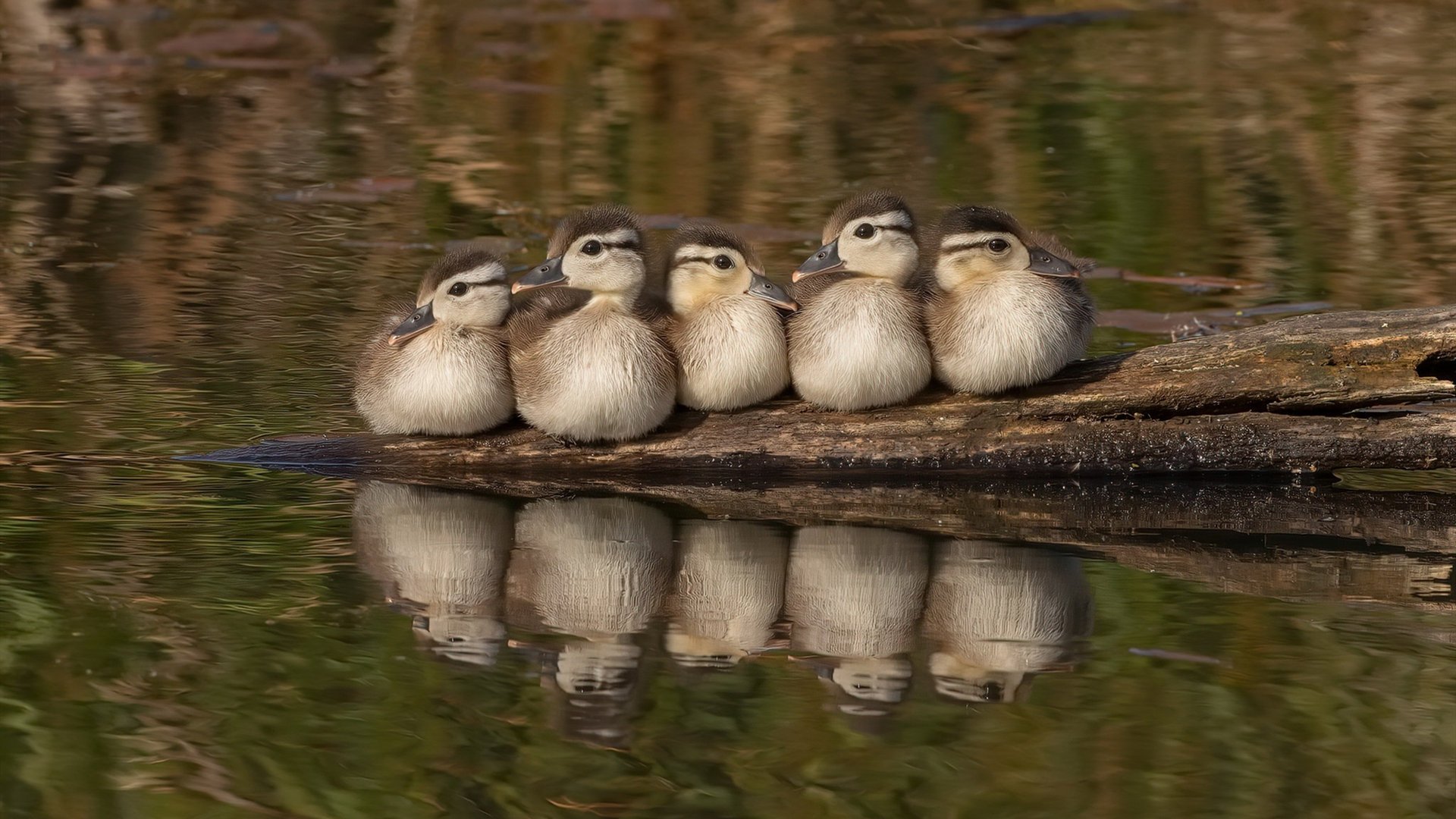 爱游戏体育官方网站-国际田径赛事落地中国城市带动区域发展，国际田径比赛项目