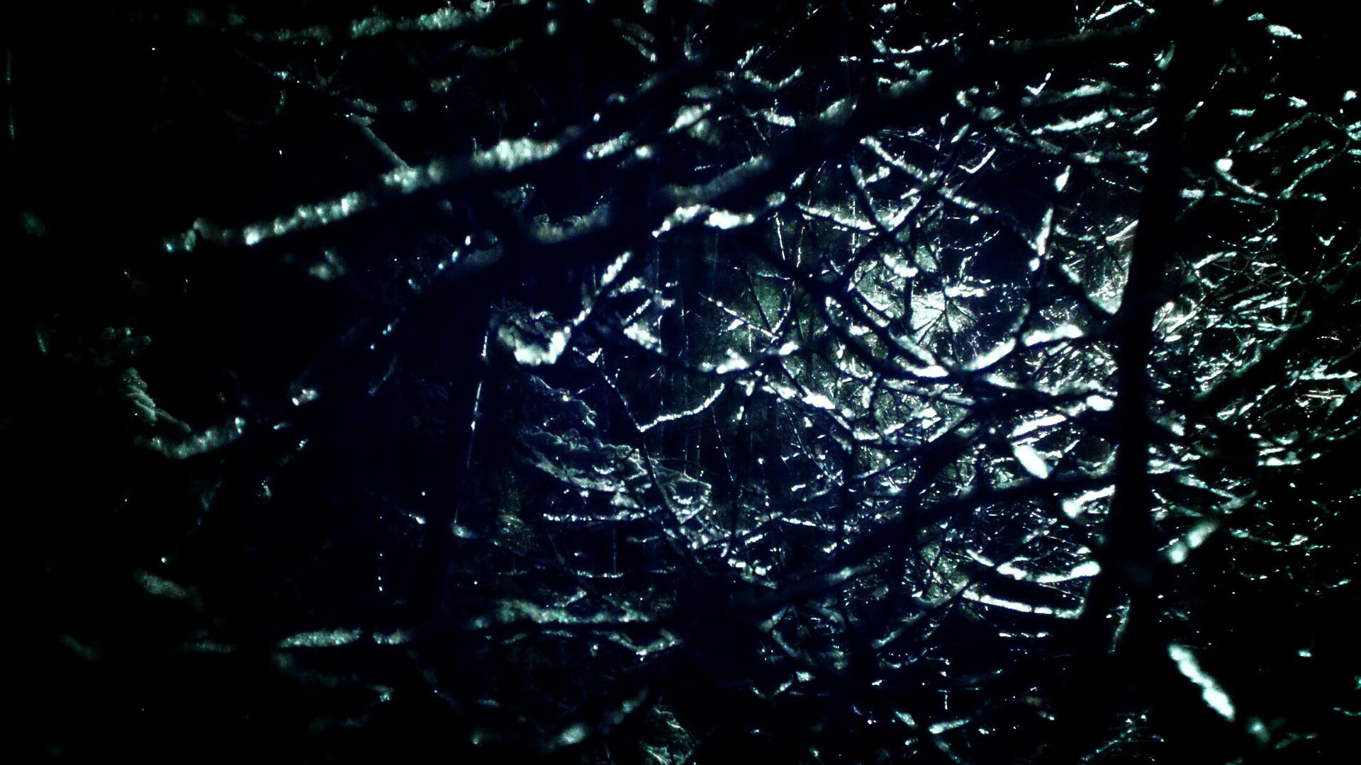 女子篮球冠军之路纪录片首映,激发社会讨论,女子篮球世界冠军