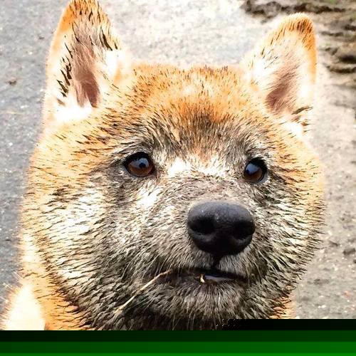 AYX GAME-英超激情来袭：激情、努力、胜利一线之间，英超qg