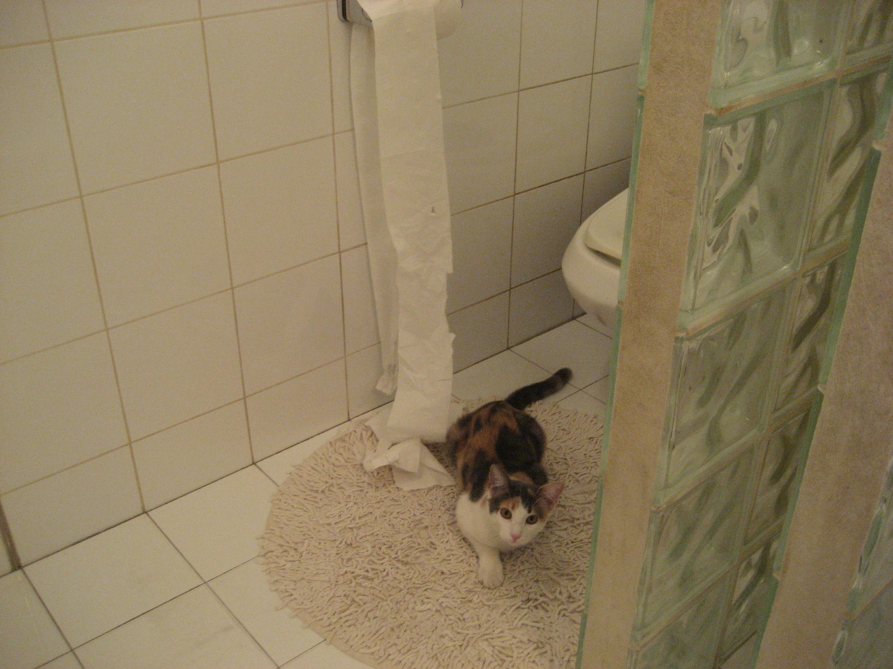 西甲惊天逆转:逆境中践行冠军信仰,西甲 冠军