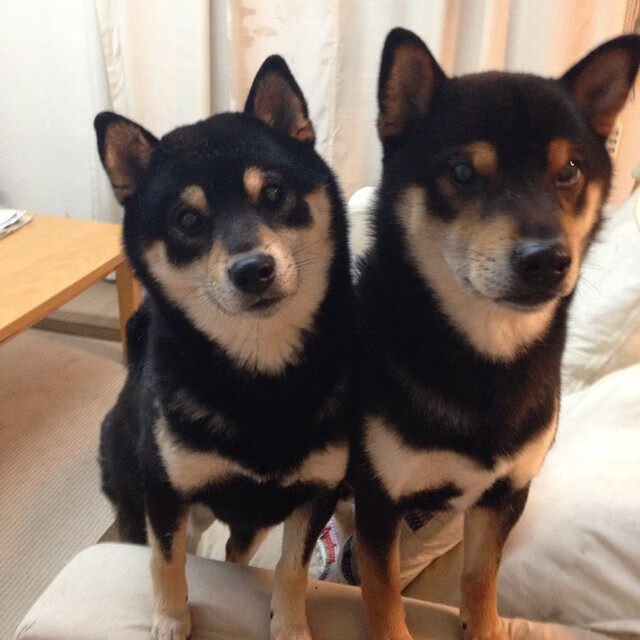 西甲狂欢夜:精彩传球与破门瞬间叠加,西甲传统强队