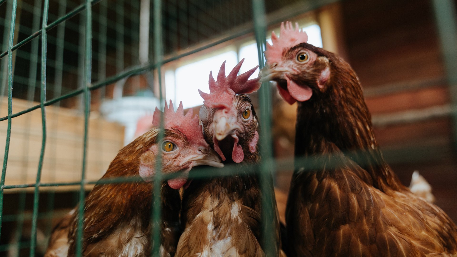 爱游戏体育app-西甲攻防交锋：秒秒钟精彩不断！，西甲防守最好的球队