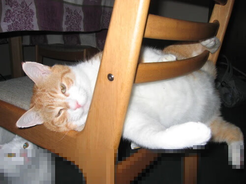 詹姆斯助攻再创里程碑联盟第一实至名归,詹姆斯 助攻