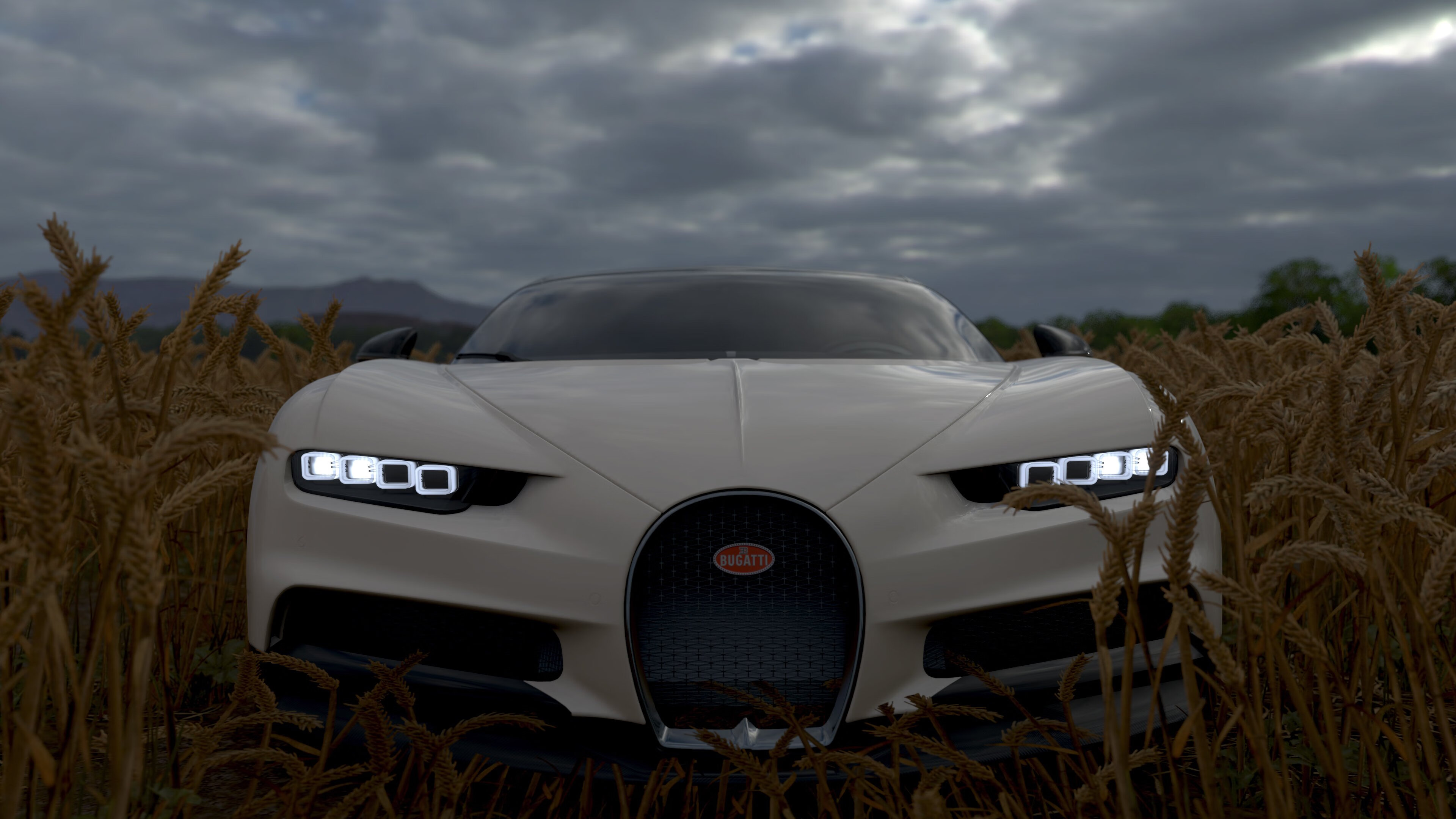 跳水高难动作摩纳哥稳健完成,摩洛哥跳水