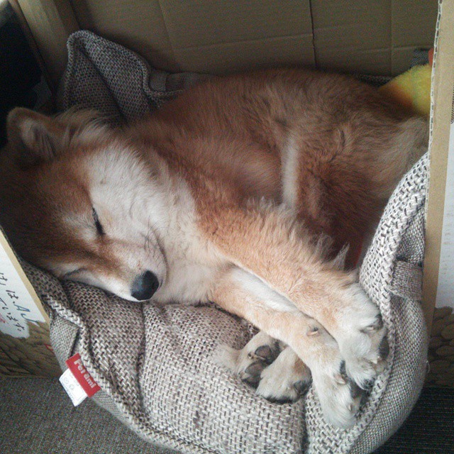 陈艺文:突破自我是最大胜利,陈艺文夺冠